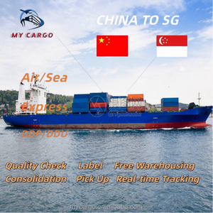 Fast Professional Logistics Freight Sea Freight Port to Port with Custom Clearance China to Singapore