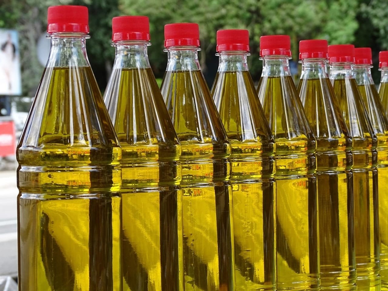 Cold chain reefer transport for food and beverage Saudi Arabia