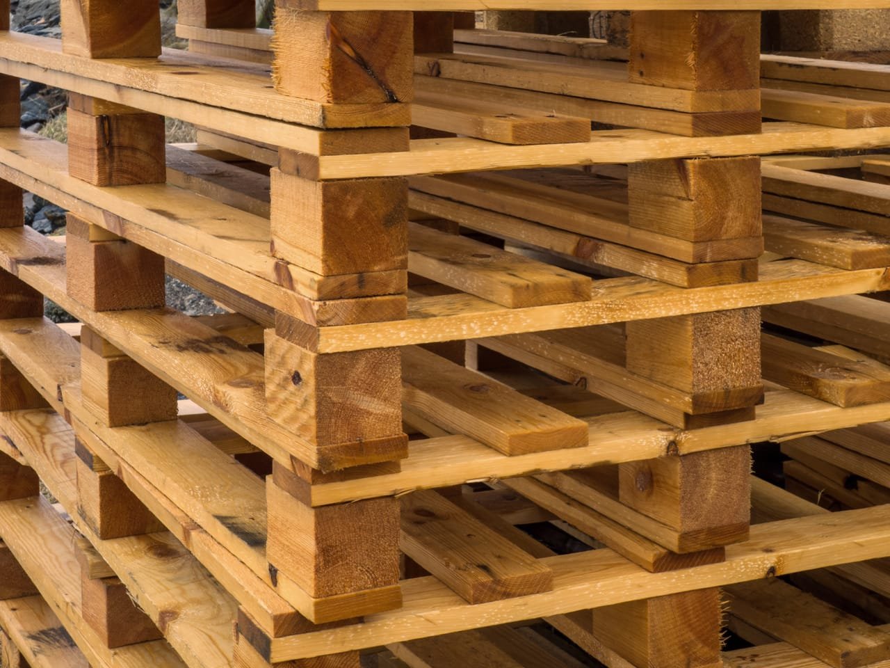 FMCG warehouse storage and palletized retail distribution