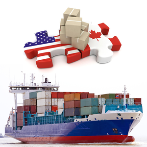 Global TOP 100 NVOCC New Chain Logistics Shenzhen Freight Forwarder FCL Shipping Agent
